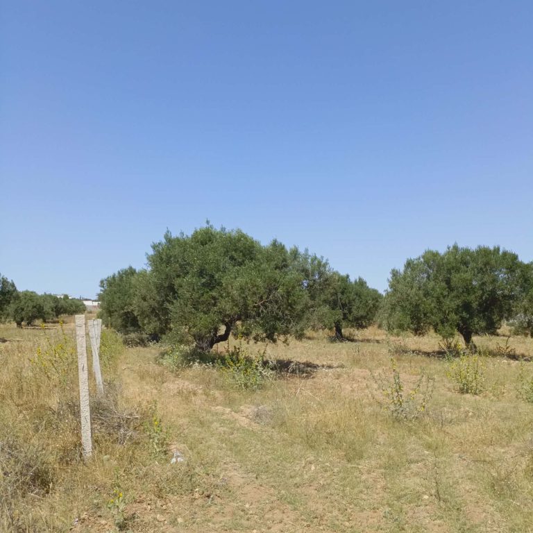 Av 1000m &agrave; 5mins &agrave; hammamet yasmine