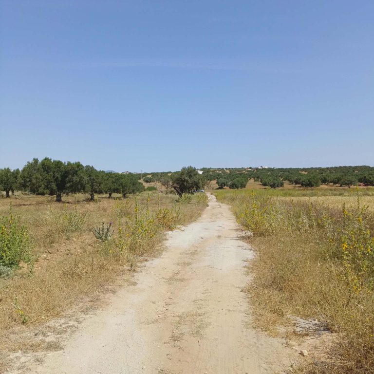 Av 1000m &agrave; 5mins &agrave; hammamet yasmine