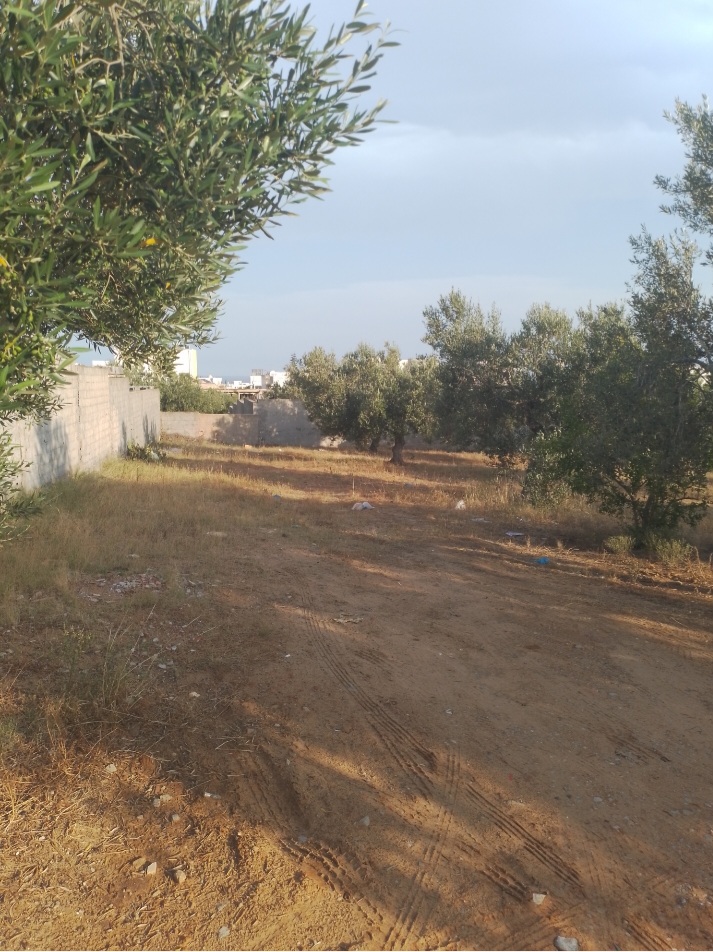 Terrain 777m ou moiti&eacute; hammamet nord