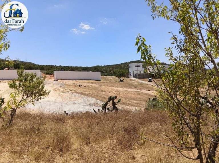 Terrain houssi