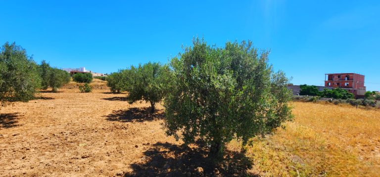 Terrain 8 lots ghennada monastir titre bleu