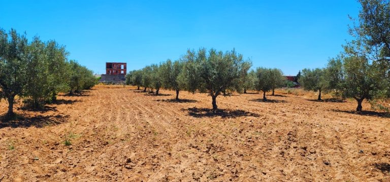 Terrain 8 lots ghennada monastir titre bleu