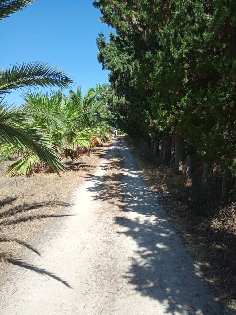 Ferme agricole 11 hectars à soliman nabeul