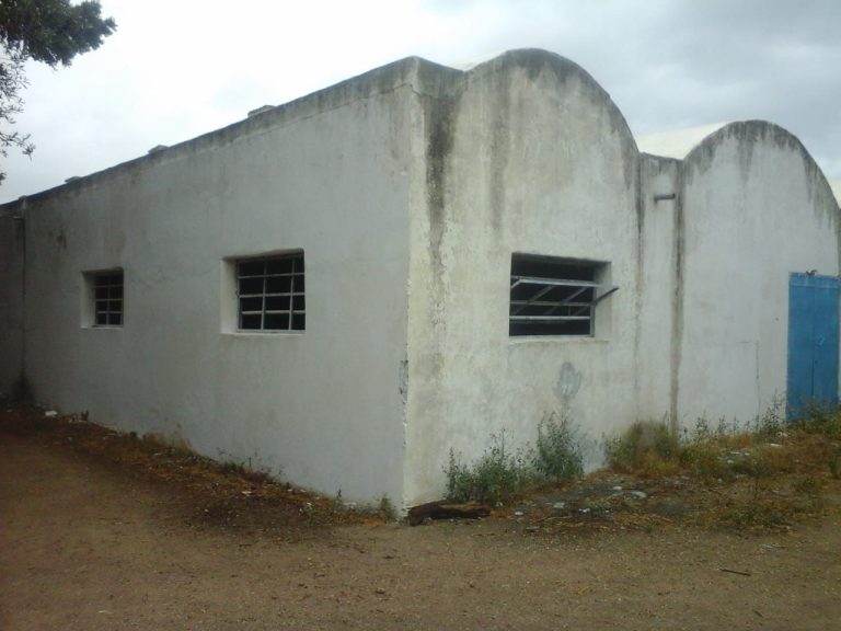 Ferme agricole 11 hectars à soliman nabeul