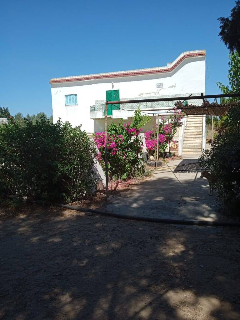 Ferme agricole 11 hectars à soliman nabeul