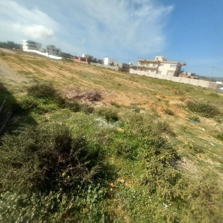 Offre terrain chat el 9ebli