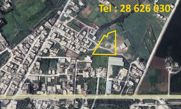 Terrain 195 m cloturé bejaoua 1 oued ellil
