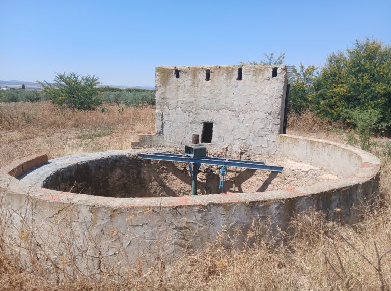 Ferme agricole de 10 hectares avec 1 500 oliviers