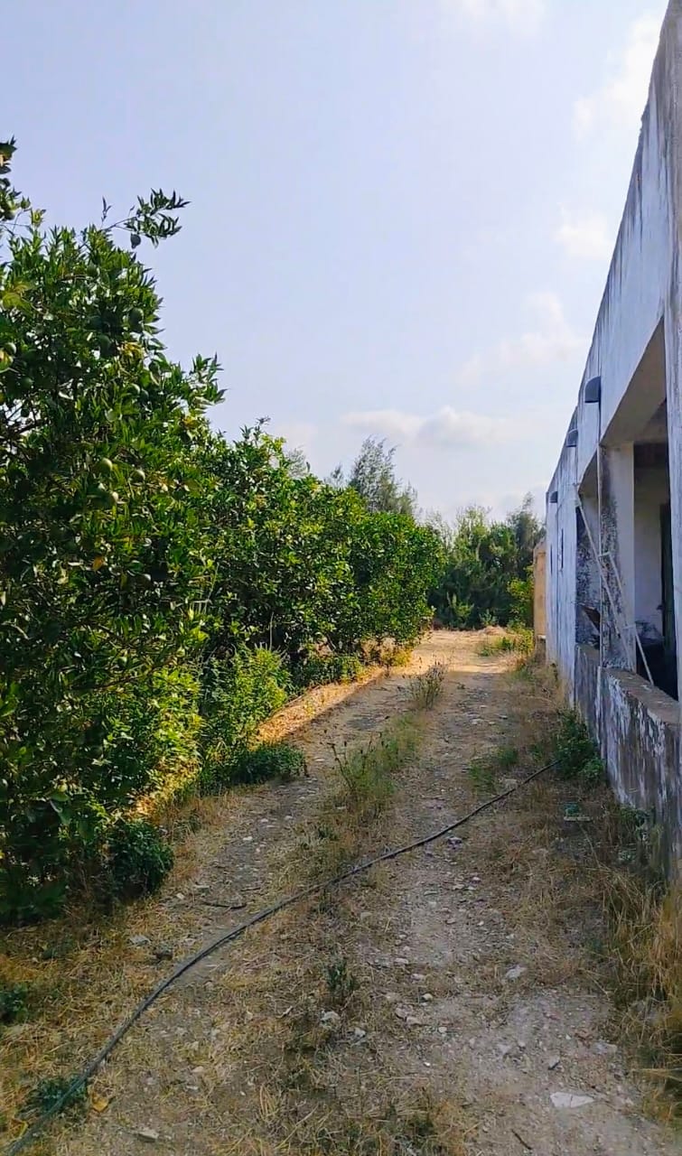 Ferme &agrave; bouzelfa