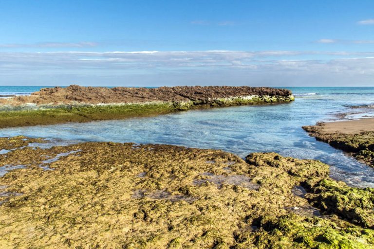 Un terrain pied dans l'eau