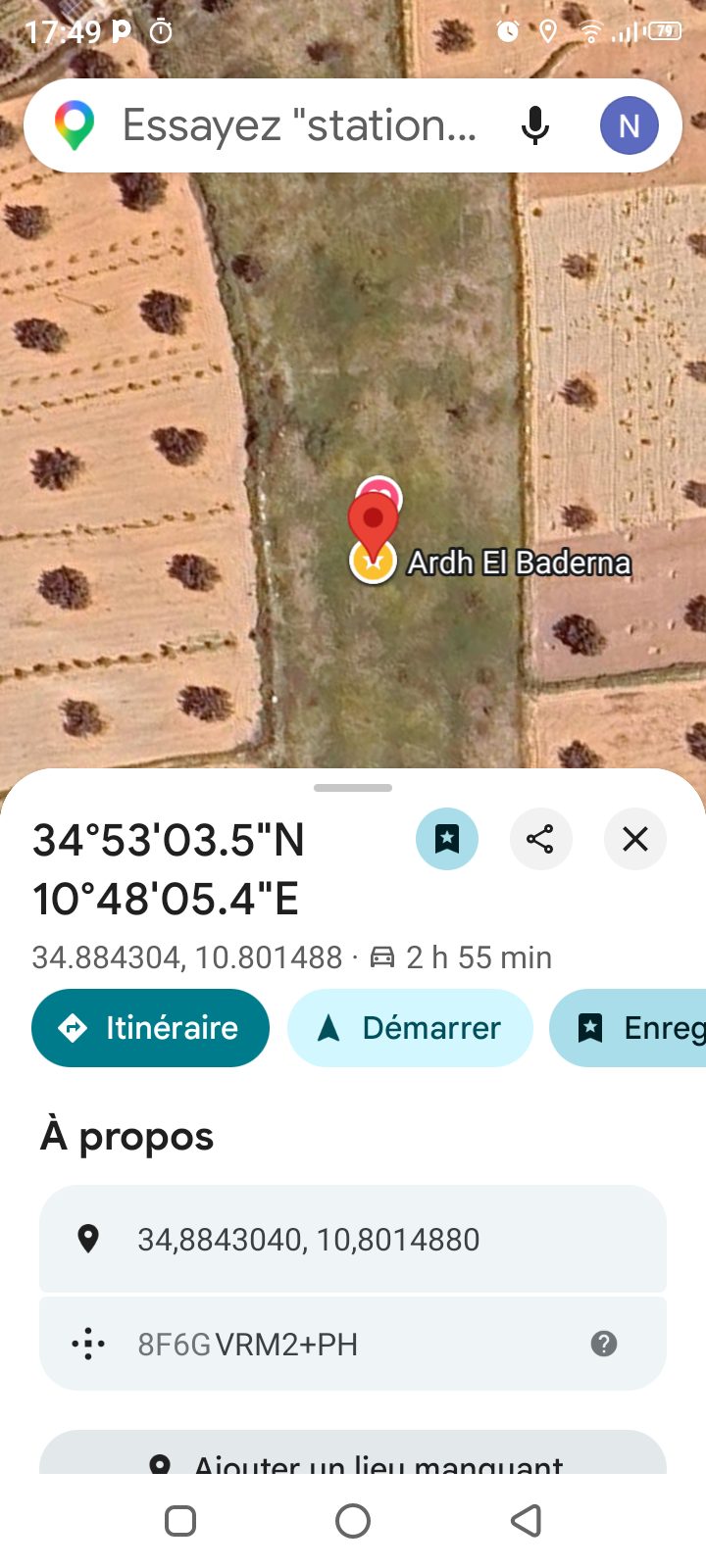 Terrain asl zaitoun 15 marjaa