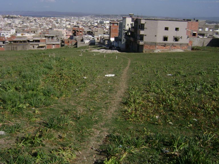 Un terrain à cité el waha bizerte