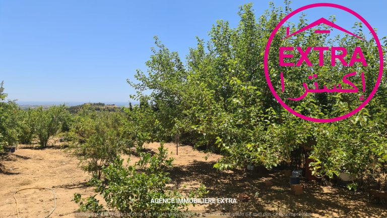 Campagne a hwaria de nabeul