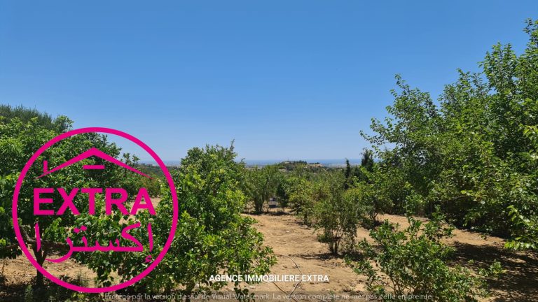 Campagne a hwaria de nabeul