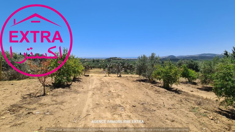 Campagne a hwaria de nabeul