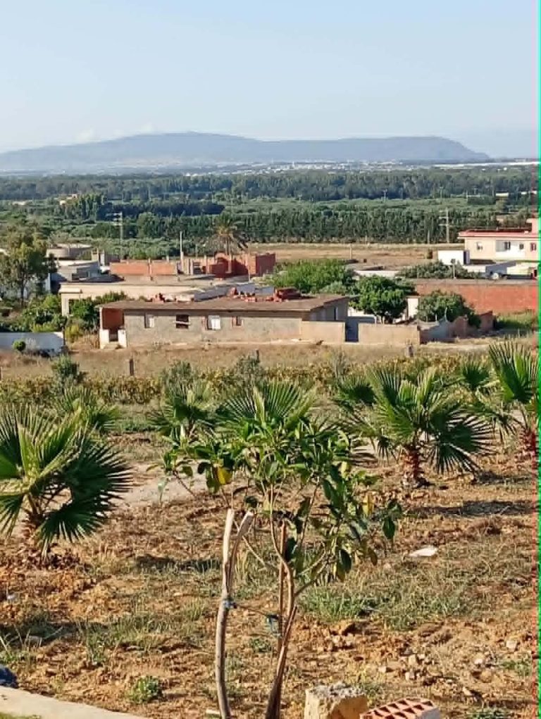 Maison de 4000m2