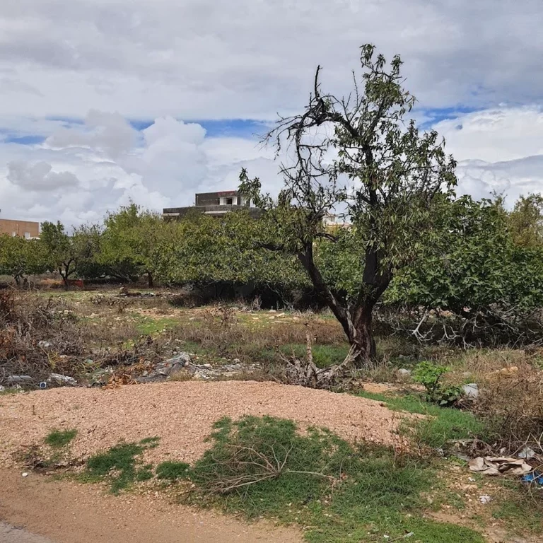 Lot chebba ville