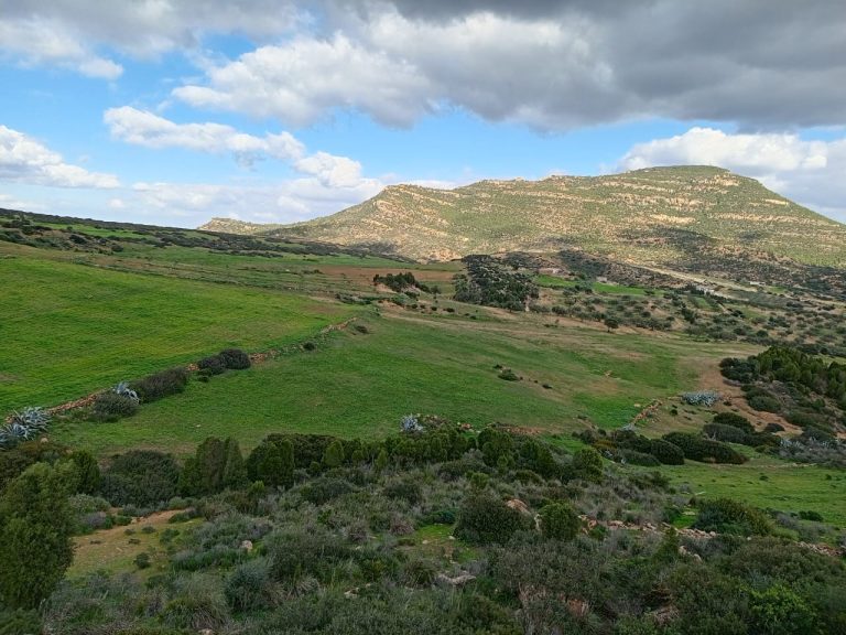 Av 10 hectares nu à hammamet 99958728