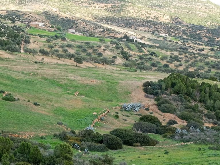 Av 10 hectares nu à hammamet 99958728