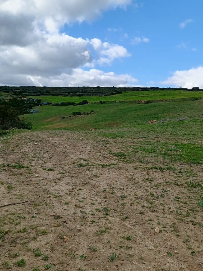 Av 10 hectares nu à hammamet 99958728