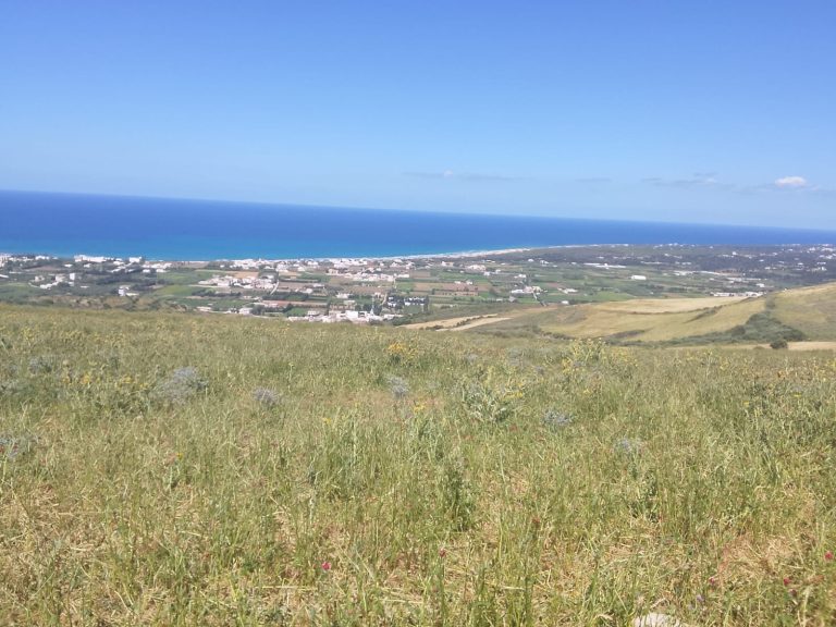 Terrain 1 hectare à ras jebal bizerte