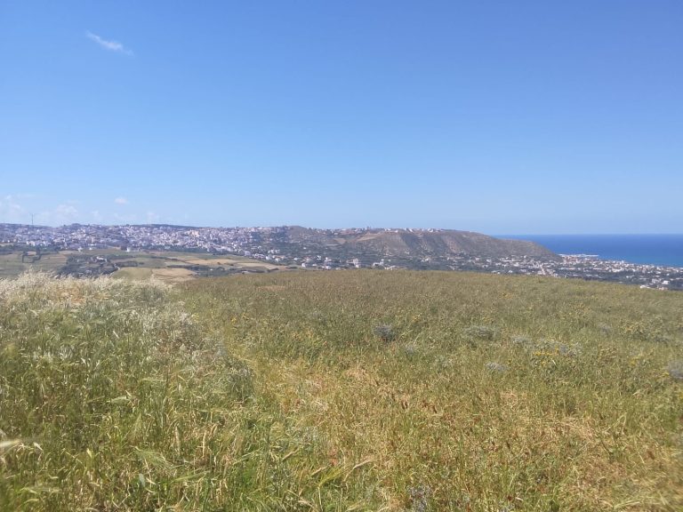 Terrain 1 hectare à ras jebal bizerte