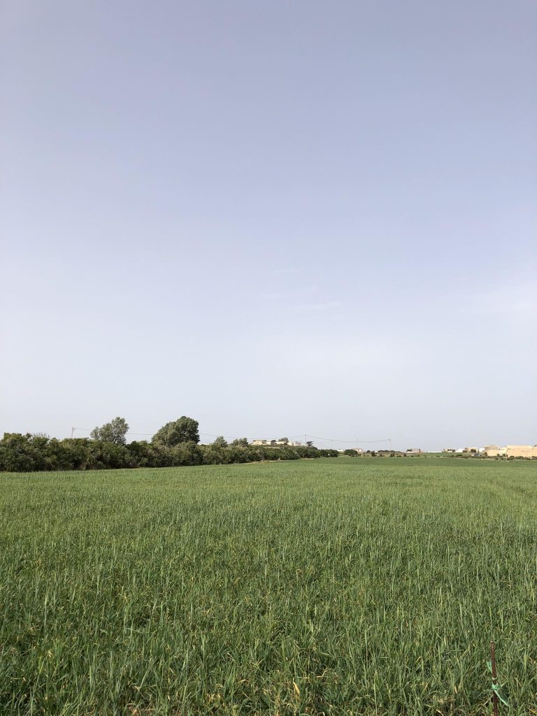 Lots de terrains lebna plage
