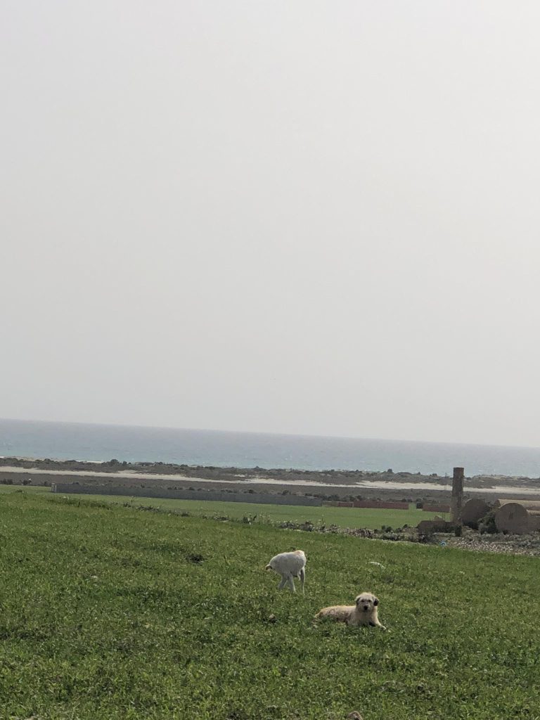 Lots de terrains lebna plage