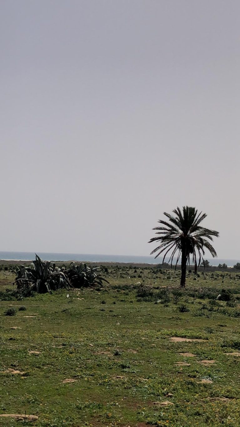 Lots de terrains lebna plage