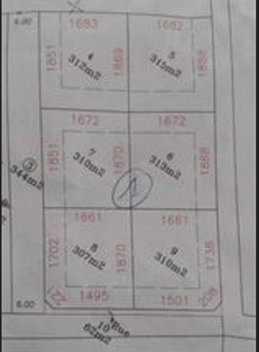 794755 20260723 135359