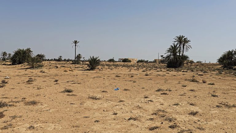 Grand terrain de &agrave; chikh yahia djerba