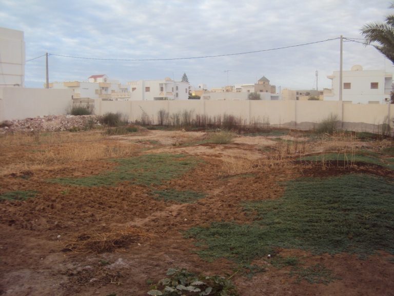 Terrain de 811m2 route el ain km 2