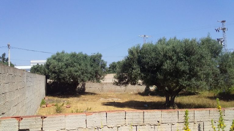 Terrain &agrave; borj touil