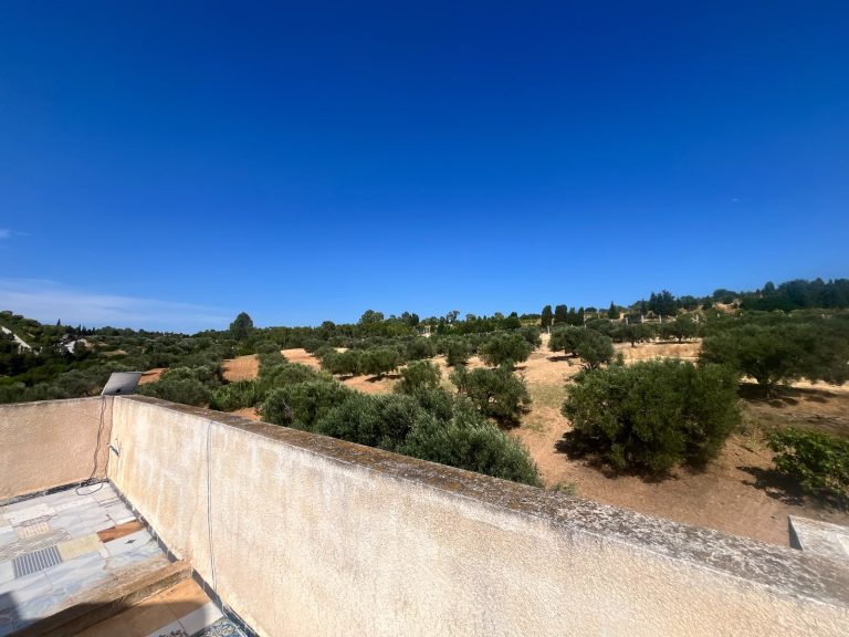 Maison avec jardin bâtie sur un terrain de 500 m