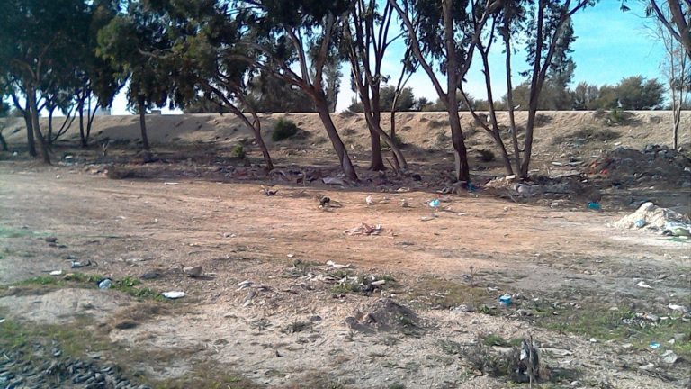 Terrain de 5560 m2 à kairouan