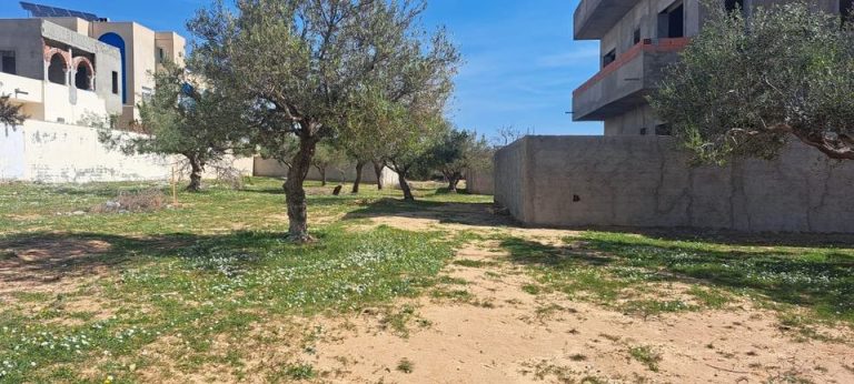 Terrian de 200m a mrezga hammamet