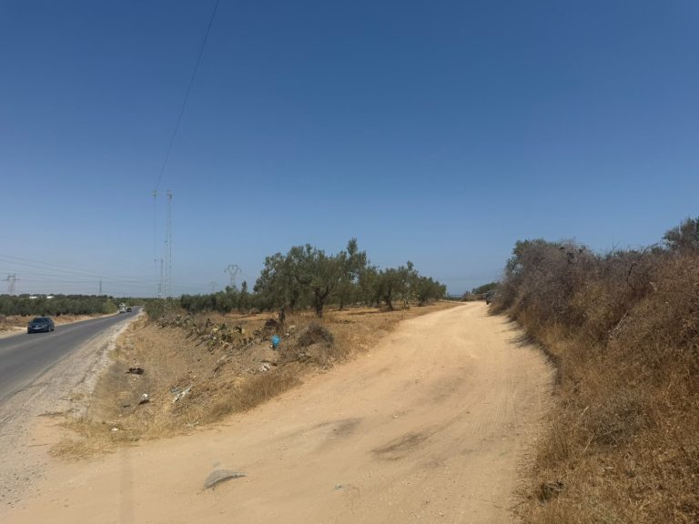 Terrain sur le route thrayet ouerdanine