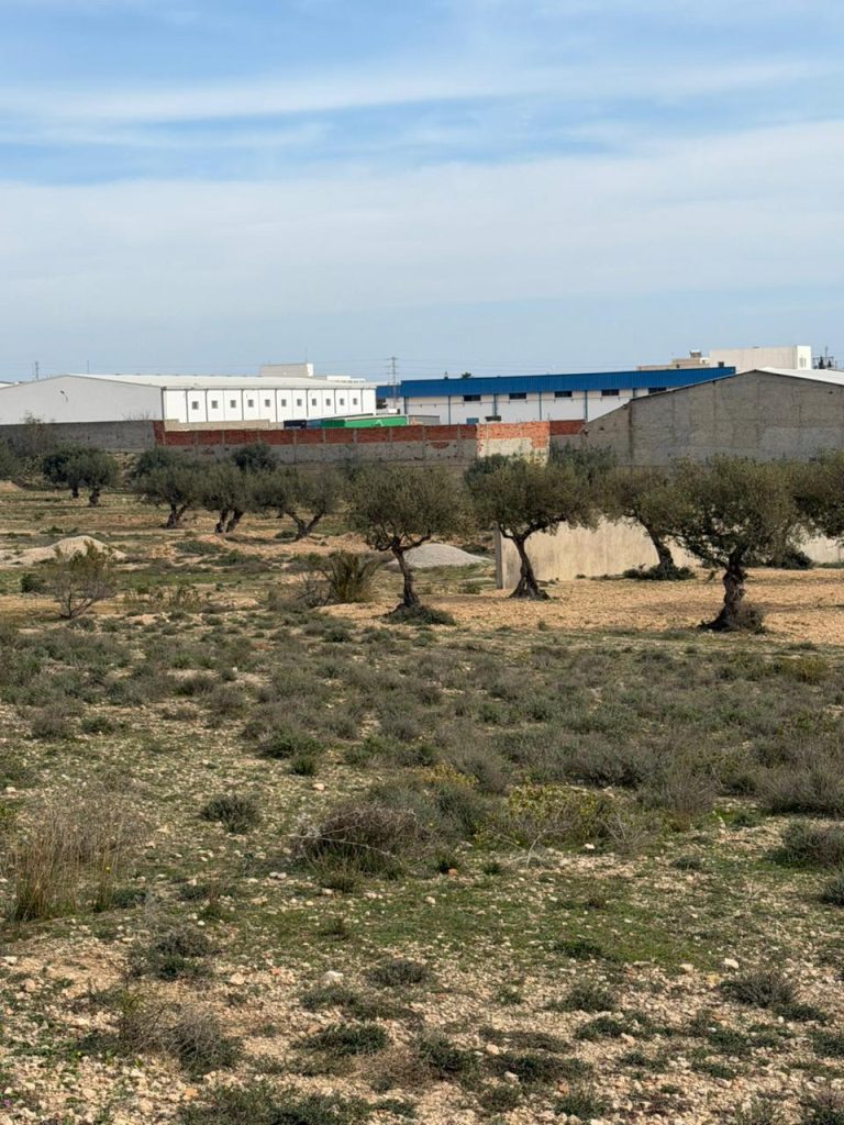 Terrain constructible sousse 30000 m