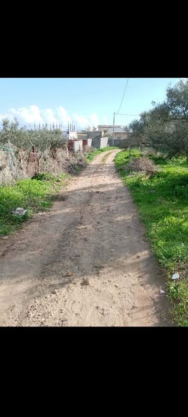 Terrain agricole
