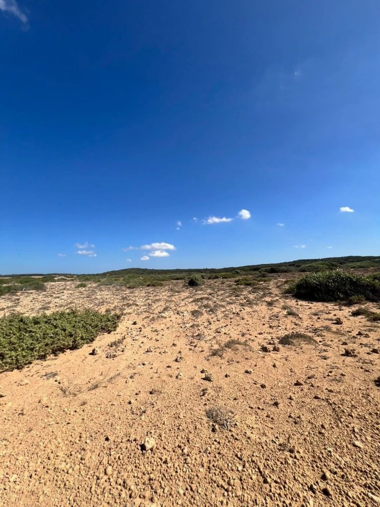 Terrain vue mer