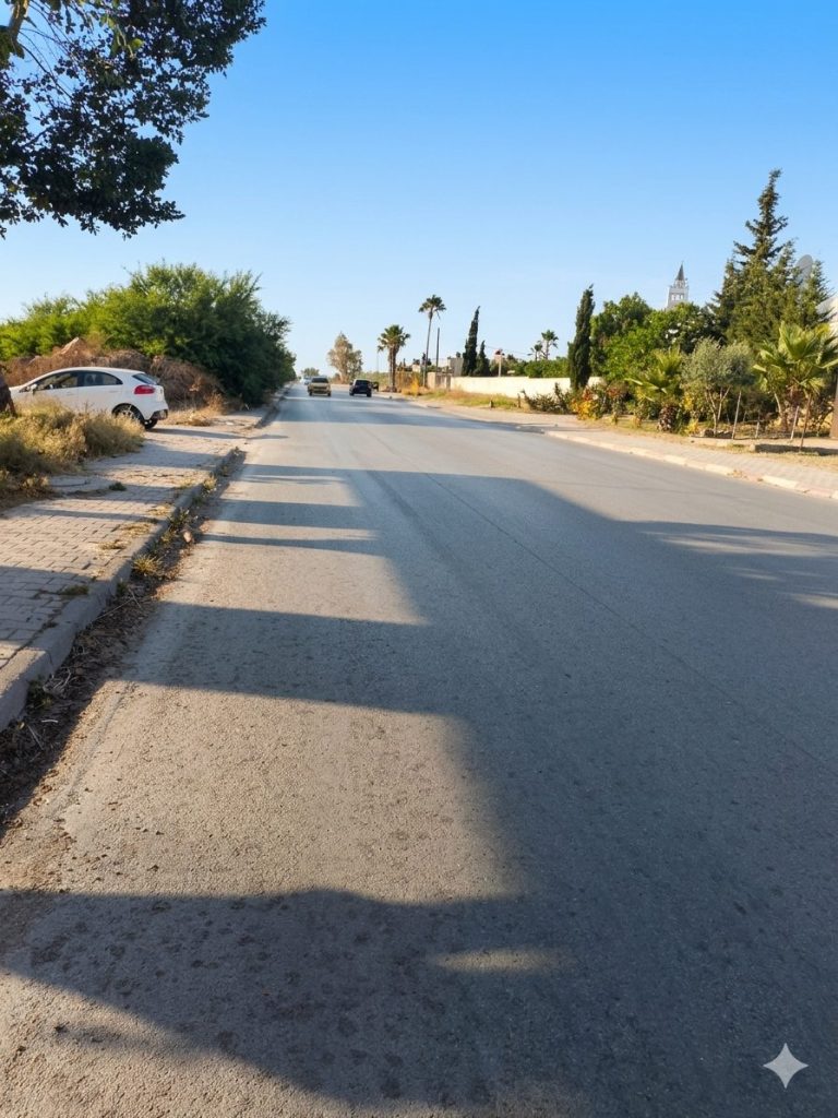 Terrain 1000 m2 double cl&ocirc;ture bejaoua 1