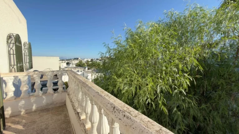 Magnifique triplex situé a menzah 9a