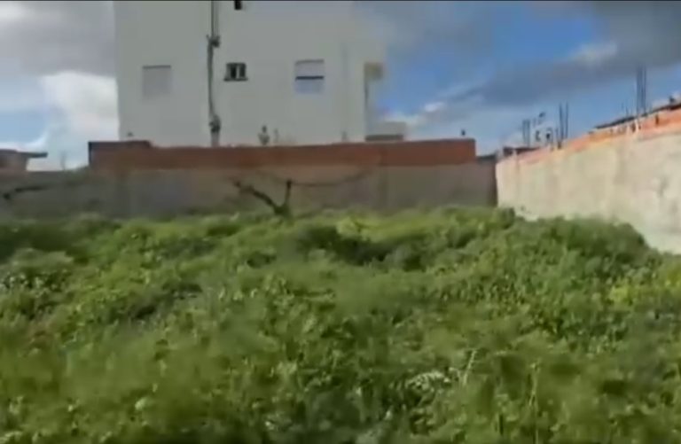 Terrain magnifique