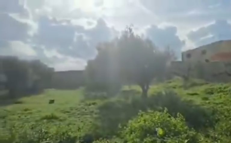 Terrain magnifique