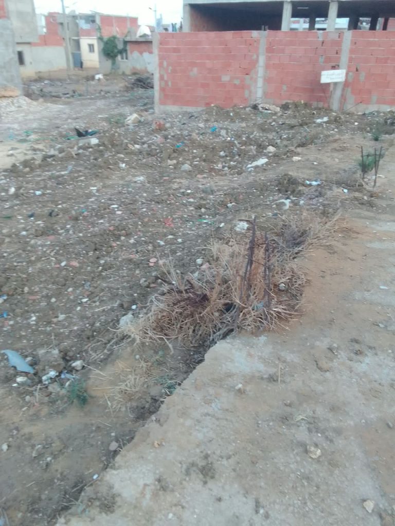 Terrain nu a beni naafaa bizerte sud