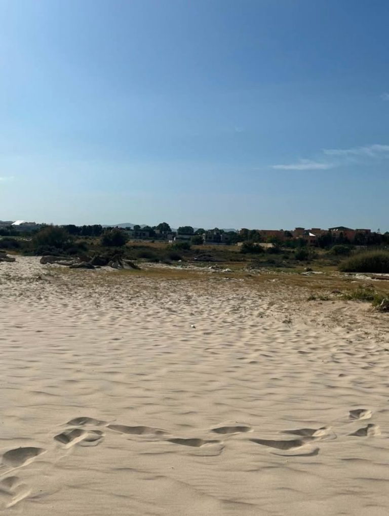 Terrain hammamet sud proche de la mer