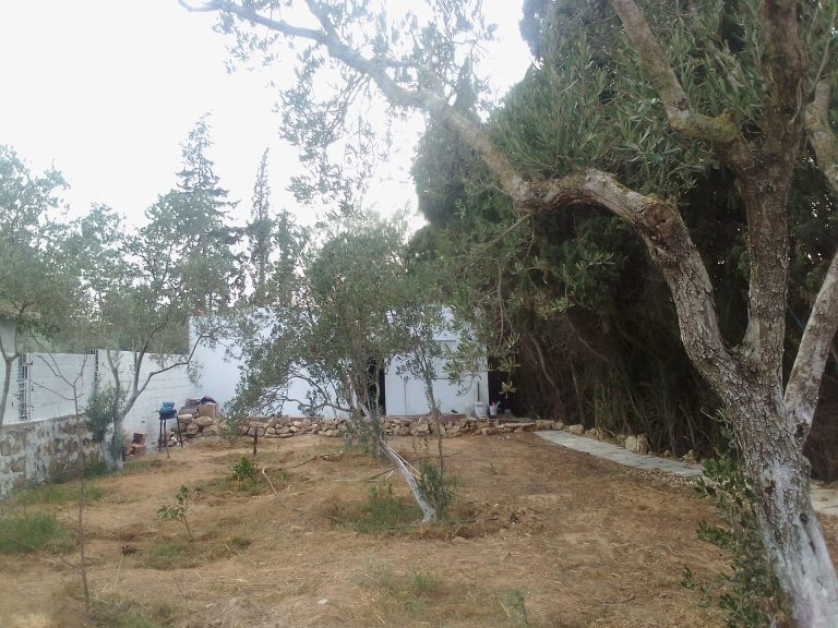 Terrain et maison à rasjbal sans intermédiaire