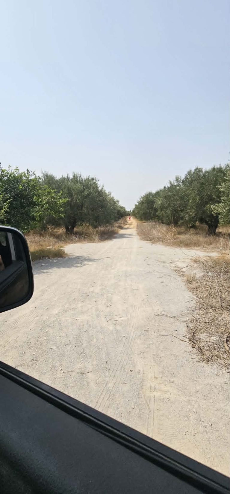 Deux terrains a hammamet entoure par des villa