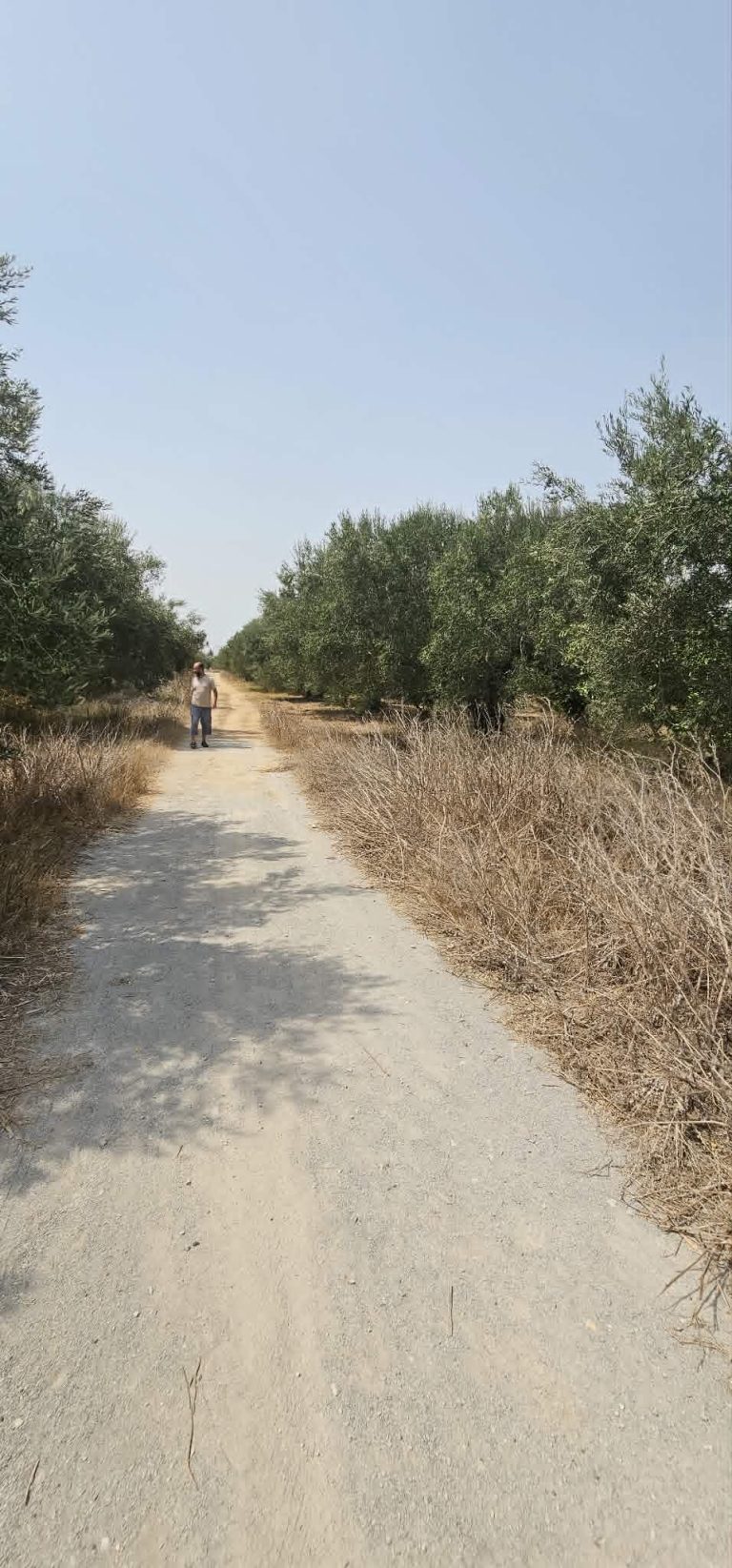 Deux terrains a hammamet entoure par des villa