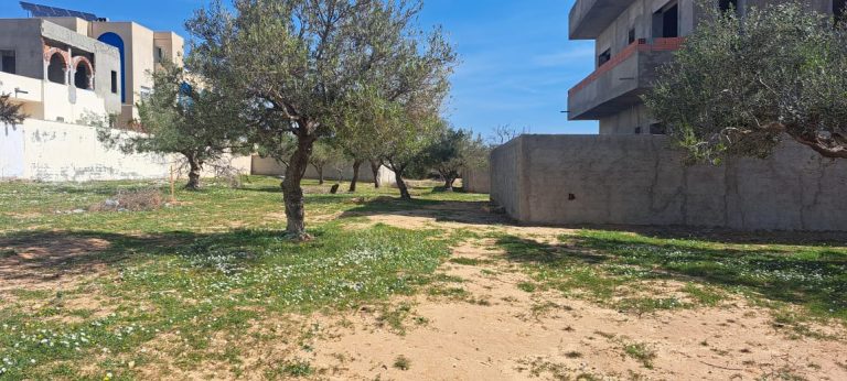 Un de terrain a hammamet mrezga